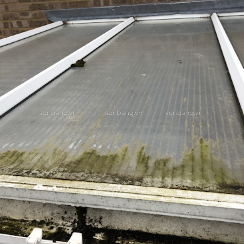 Mái che Poly bị rêu mốc khi không vệ sinh thường xuyên