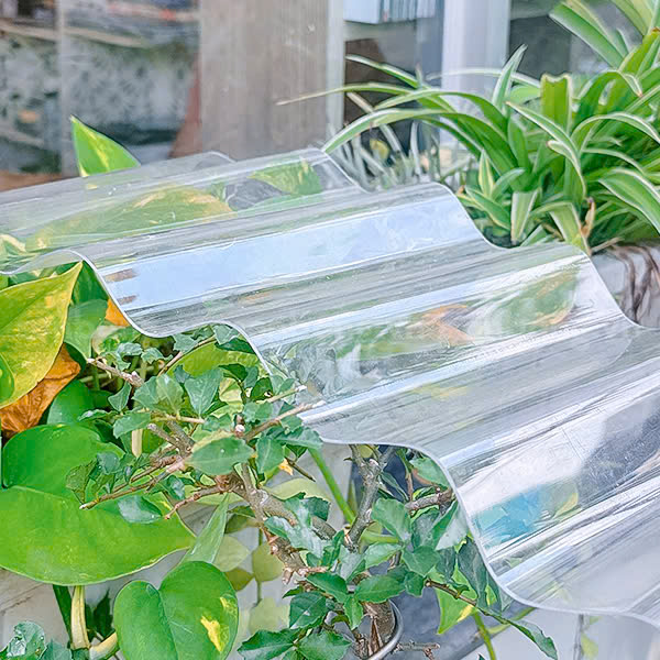 Độ trong suốt trong thực tế của tôn nhựa lấy sáng 