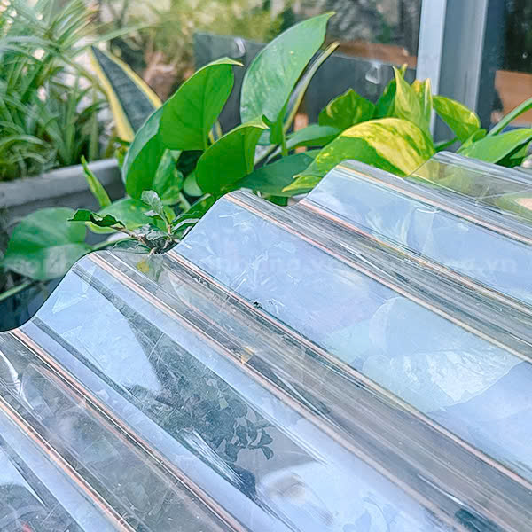 Tôn sóng Poly trong suốt trong thực tế
