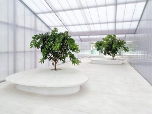 Ung dung cua polycarbonate rong 1 4 Ứng dụng Poly rỗng tại không gian đọc sách ở Trung Quốc