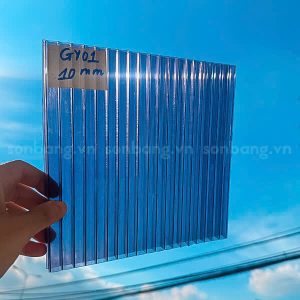 tam Poly rong 10mm 11