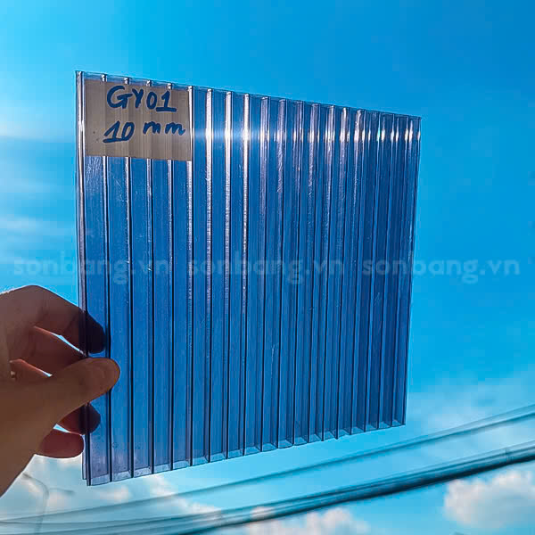 Cận cảnh Poly rỗng dưới ánh nắng mặt trời 