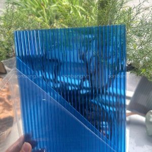 tam poly rong 4mm 9