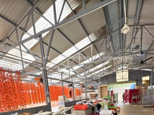 Tận dụng ánh sáng tự nhiên cho khu vực sản xuất Hồng treo gió bằng tấm Poly