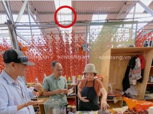 Lấy sáng tự nhiên cho không gian bằng cách lợp xen kẽ Poly