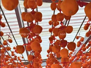 Cận cảnh tấm Poly cùng nơi sản xuất Hồng treo gió