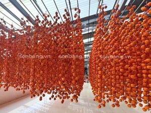 Không gian sản xuất hồng treo gió bằng tấm Polycarbonate 