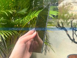 Cận cảnh độ dày của tấm Poly 5mm trên thực tế