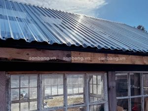 Tôn lấy sáng Poly SolMart trong suốt 