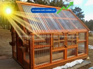 Tôn lấy sáng Poly có chứa chất UV, chống rạn nứt và ố vàng