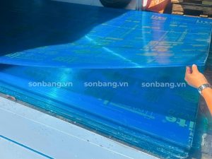 Tấm Poly rỗng Twinlite trên thực tế 