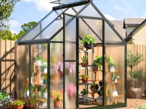 Ung dung Poly trong nong nghiep 1 Nhà kính nông nghiệp hiện đại sử dụng tấm lợp Polycarbonate lấy sáng tối ưu.