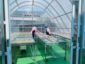 Ung dung Poly trong nong nghiep 5 Tấm Poly được ứng dụng làm nhà sấy