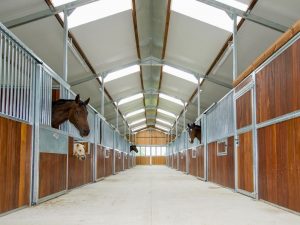 Ung dung Poly trong nong nghiep 7 Ứng dụng tấm Poly lợp mái xen kẽ tôn làm chuồng ngựa thông thoáng sạch sẽ.