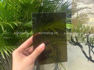 Tấm Poly màu trà trên thực tế 